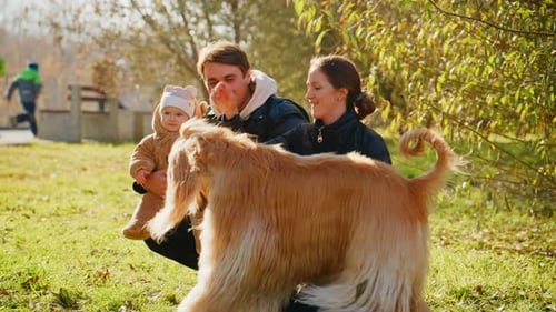 A Heartwarming Family Moment Playing with a Friendly Dog in a Sunlit Park with Parents and Their