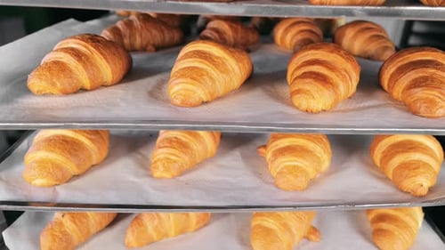 Baked Croissants are Cooled Baking at the Bakery