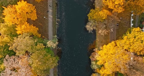Vista aérea do rio e do outono multicolorido de Bydgoszcz.