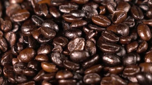 Close-up of shiny roasted aromatic coffee beans