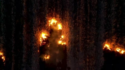 Aerial view fire on dry grass. Drone slowly move up from burning field.