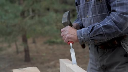 Man Chisels Wood with Hammer in Forest