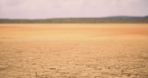 Dry Cracked Earth Landscape Background Video