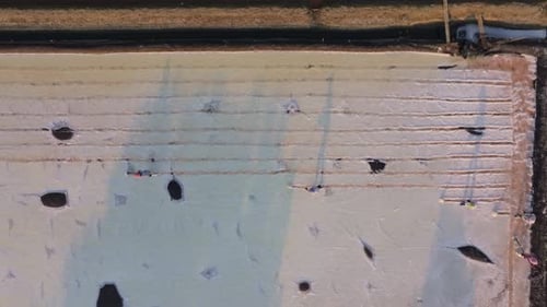 Drone shot of salt ponds used in Thailand's sea salt production