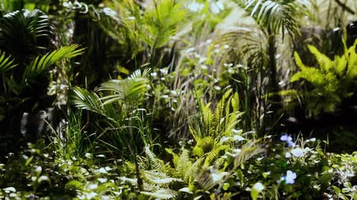 Close Up Jungle Grass and Plants