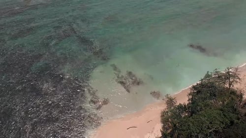 Wonderful View Of The Beautiful Costa Rica Beach Composed Of Exotic Sand And Green Trees - Aerial Sh