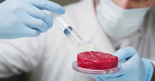 Scientist Injecting Raw Meat With Syringe In Lab