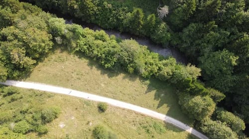 Aerial view of a wood path in forestry area. Aerial view from the top - Boom Down Shot
