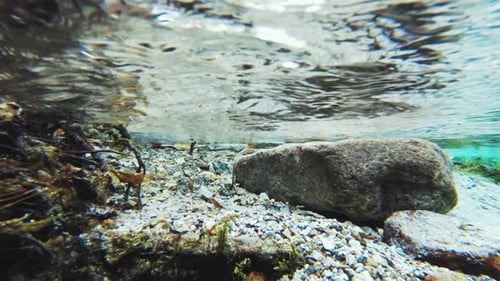 Underwater Shot of a Natural Pool with Crystal Clear Mineral Water and Gas Bubbles Coming Out of the