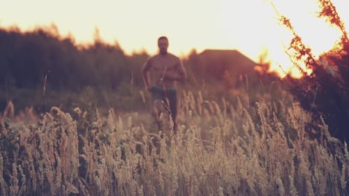 Young Man Barechested Boldly Runs on the Field of Dry Grass on a Background Sunset