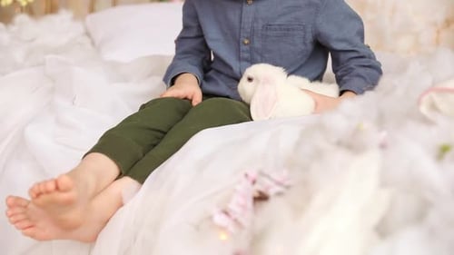 Child Petting a White Rabbit on Fluffy Blanket