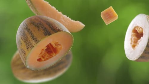 Flying Melon and Melons Slices in Green Garden Orchard Shiny Background