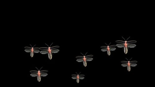 Swarm of Flying Fireflies with Glowing Bodies Overlay