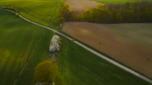 Aerial Shot of Red Car Moving on Field Road Route with Dust Trail Behind New Auto Driving Along