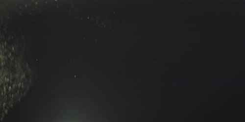 Natural Dust Particles