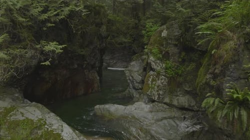 A suspension bridge is elevated above a creek and waterfall in Lynn Canyon