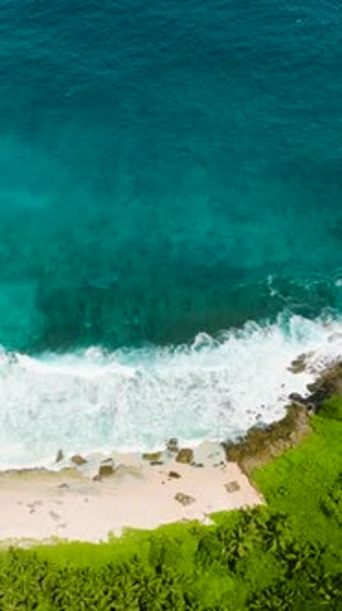 Turquoise Waves Crashing on a Lush Tropical Coastline Seychelles Mahe