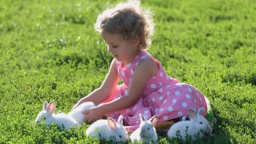A Child Plays with White Rabbits on the Green Grass in the Garden