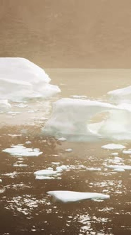 An Actively Calving Glacier with Wildlife