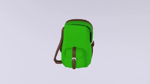 Stylish Green Backpack with Brown Straps