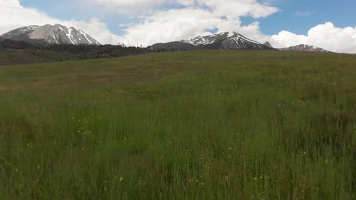 Snow covered rocky mountains and open hillside fly over tall grass during the spring.