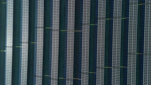 Aerial view of solar panels on field, United Kingdom.
