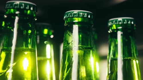 Row of Beer Bottles in Fridge Shop or Hotel Cold Lager Craft German Beer or Cider Shop Supermarket
