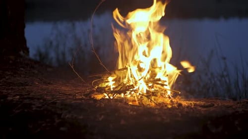 A Fire Burns on the Shore of a Forest Lake