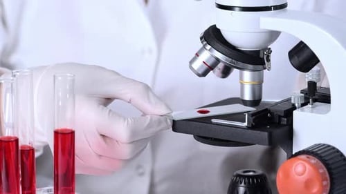 Medical Lab Technician Examining Sample with Microscope