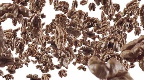 Flying of Walnuts in White Background with Alpha Channel