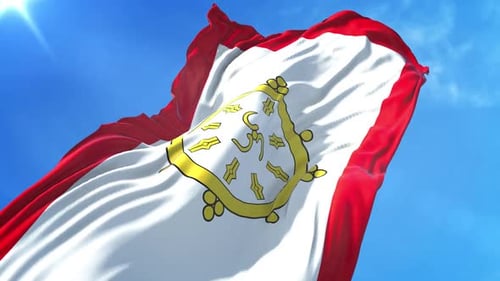 Realistic Waving Flag Animation with Golden Abstract Emblem