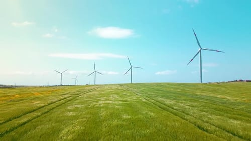 Wind Turbines in Green Field on Sunny Day