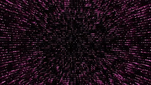 Pink Neon Lightwall Loop