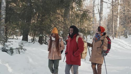 Friends Strolling Along Forest Road
