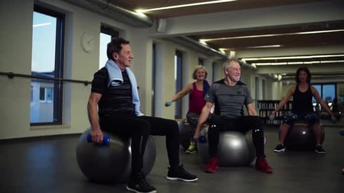 Group Of Cheerful Seniors In Gym Doing Exercise With Dumbbells On Fit Balls.