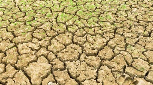 Dry mud cracked ground, desertification ecology disaster concept, pan close up