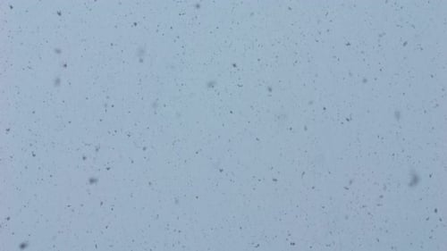 Falling Snowflakes Against a Pale Blue Sky