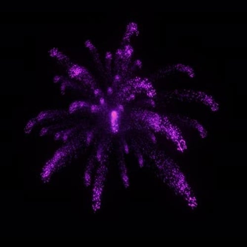 Fireworks A 02