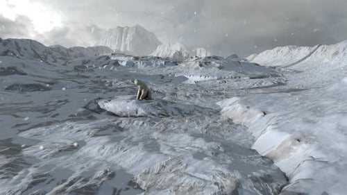 Eisbär sitzt auf verschneiter arktischer Felslandschaft, Luftbild