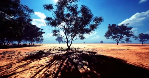 Expansive Desert Landscape Showcasing Resilient Trees Under a Vibrant Sky