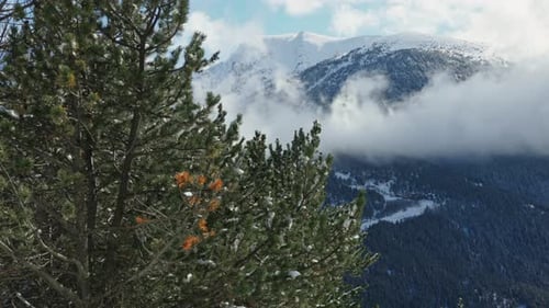 Panning panorama of cloud covered mountain during winter, pine tree forest