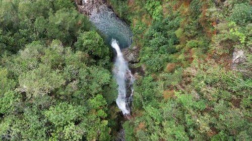 Top down view of waterfall flowing through dense forest into blue pool