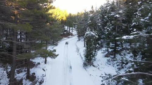 Car Driving Through Snowy Forest at Sunrise