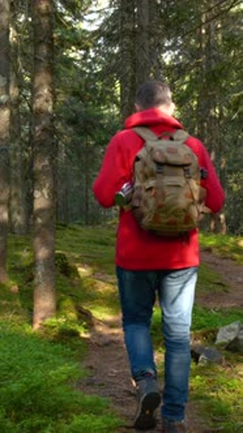 Hiker Walking Through Dense Mountain Forest Trail