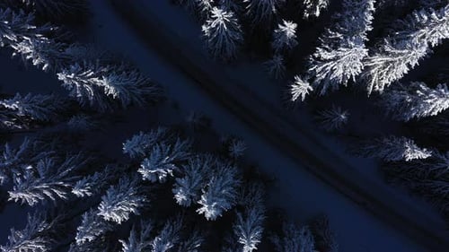 Aerial view of snowy road in snow covered pine forest at wintertime
