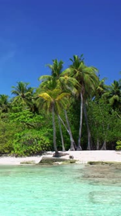 Tropical Island in Indian Ocean Wild and Uninhabited Coast with Palm Trees Travel Destinations