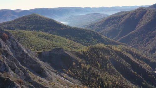 Aerial view of colorful deciduous forest in autumn