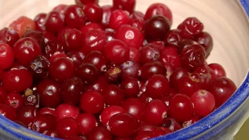 Close up of Red Cranberries in Bowl