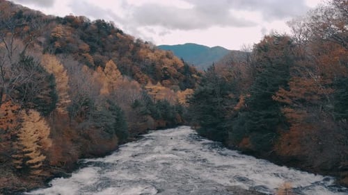 Stream In Autumn Forest