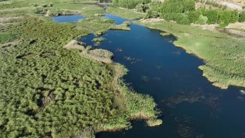Aerial View of Serene Green Wetlands Lake